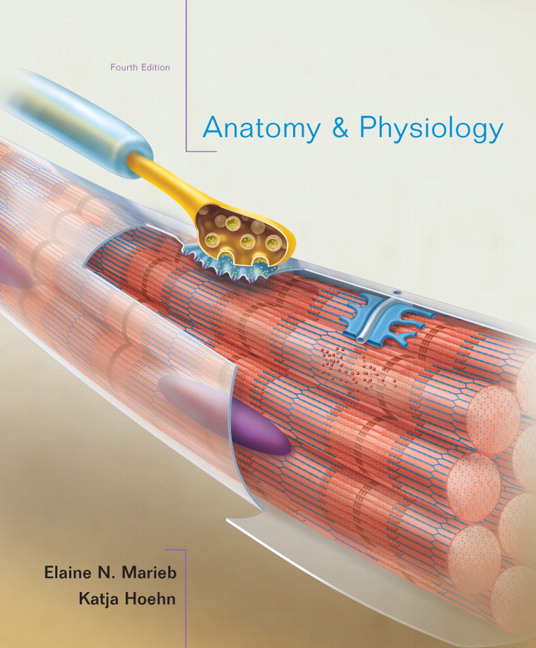 marieb anatomy and physiology online